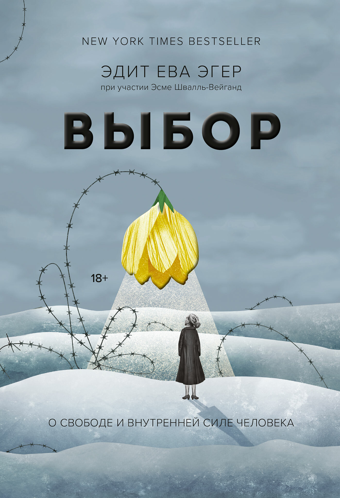 Выбор. О свободе и внутренней силе человека (The Choice. Embrace the Possible)