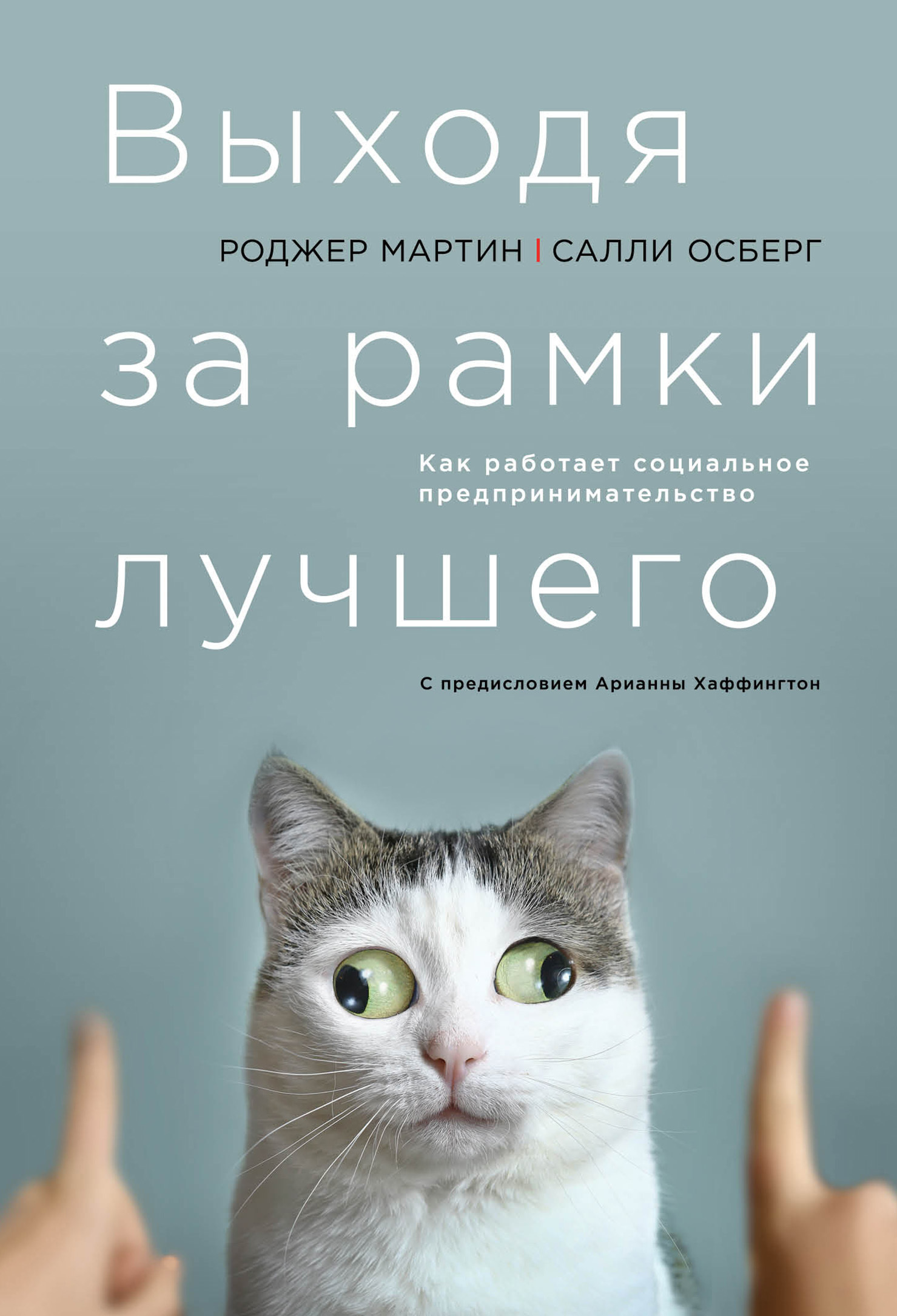 Выходя за рамки лучшего: Как работает социальное предпринимательство (Getting Beyond Better: How Social Entrepreneurship Works)